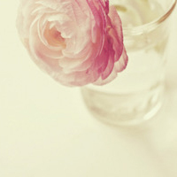 test' or 1>0 and '