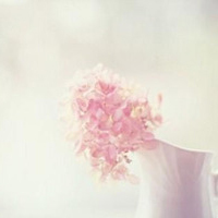 test' or (1) and '
