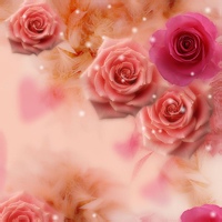 test' or 1>0 and '