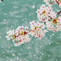 test' or 1>0 and '