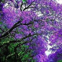 见闻的时空