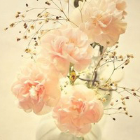 test' or 1=1 and '