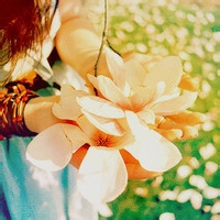 test' or 1=1 and '