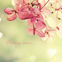 test' or (1) and '