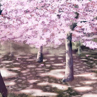 test' or 1>0 and '