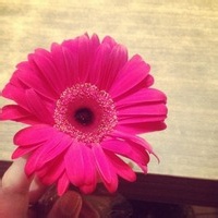 test' or 1>0 and '