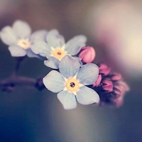 test' or (1) and '